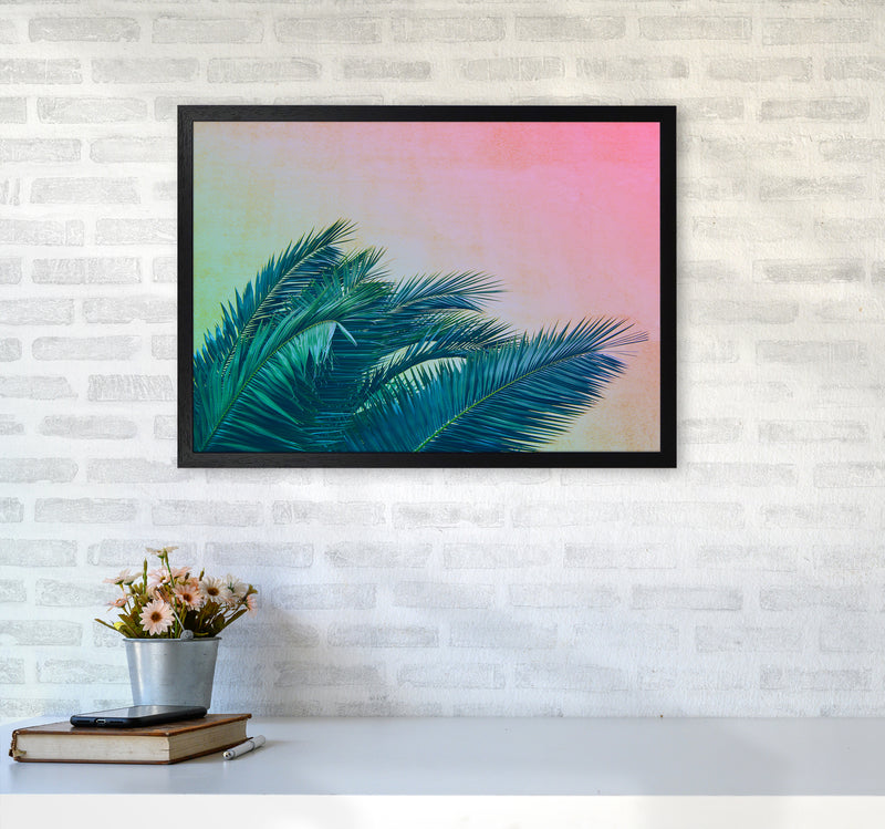 Botanical Palms Photography Print by Victoria Frost A2 White Frame