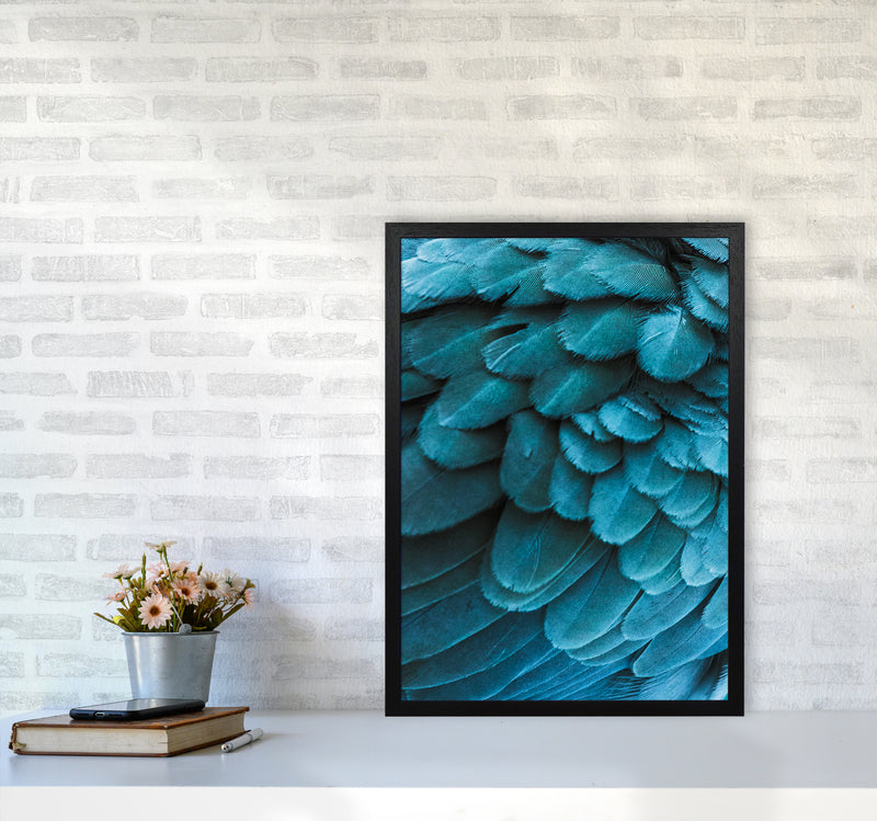 Blue Feathers Photography Print by Victoria Frost A2 White Frame