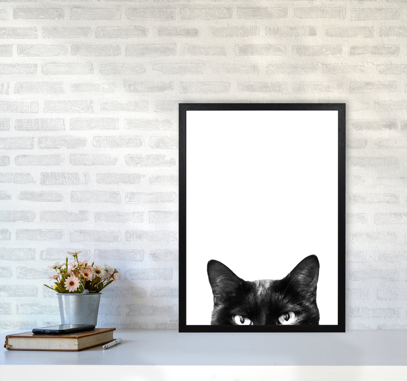 Black Cat Photography Print by Victoria Frost A2 White Frame