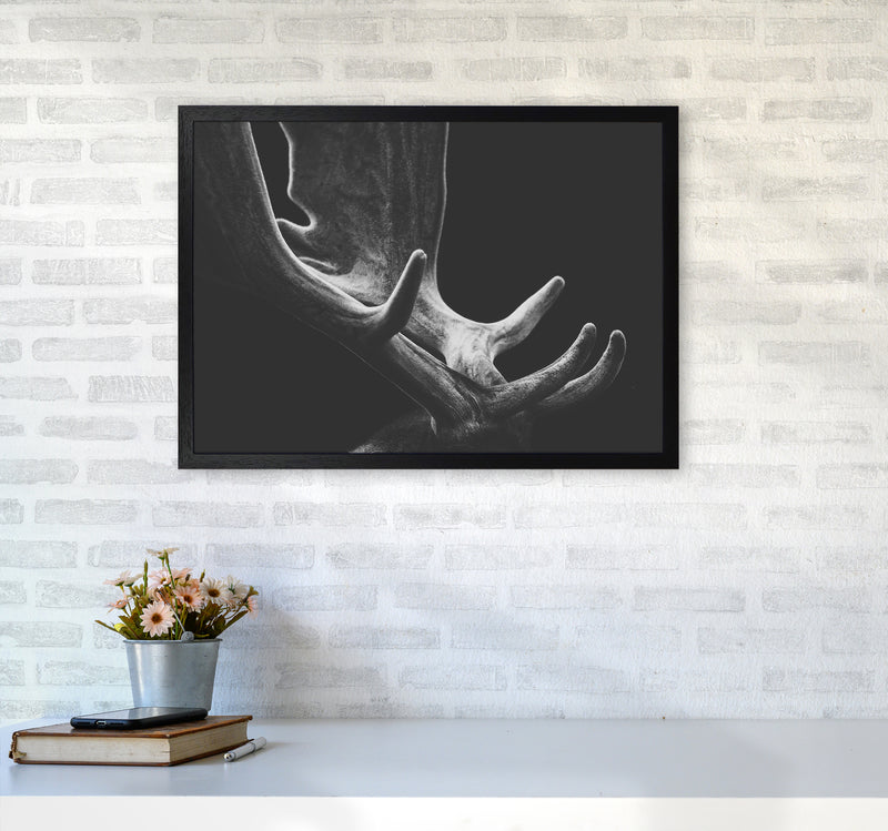 Antlers Photography Print by Victoria Frost A2 White Frame