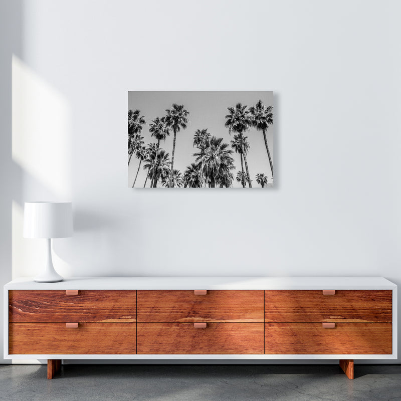 Sabal palmetto I Palm Trees Photography Print by Victoria Frost A2 Canvas
