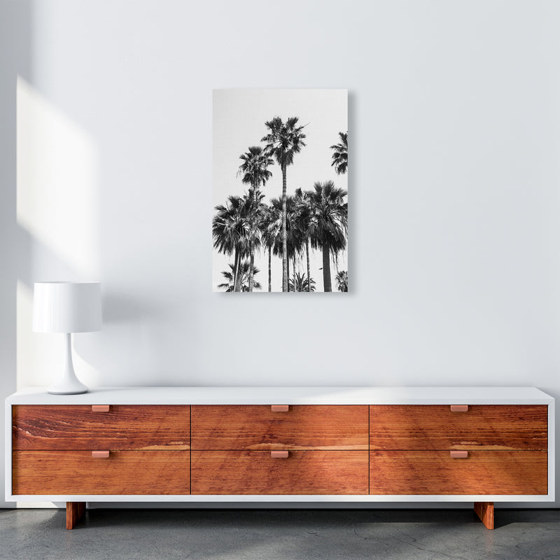 Sabal palmetto II Palm trees Photography Print by Victoria Frost A2 Canvas