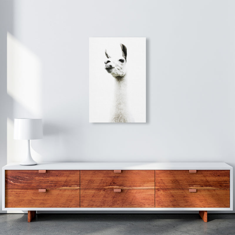 Llama II Photography Print by Victoria Frost A2 Canvas