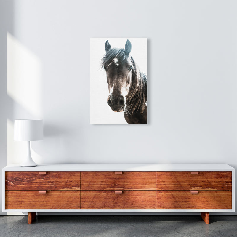 Brown Horse Photography Print by Victoria Frost A2 Canvas