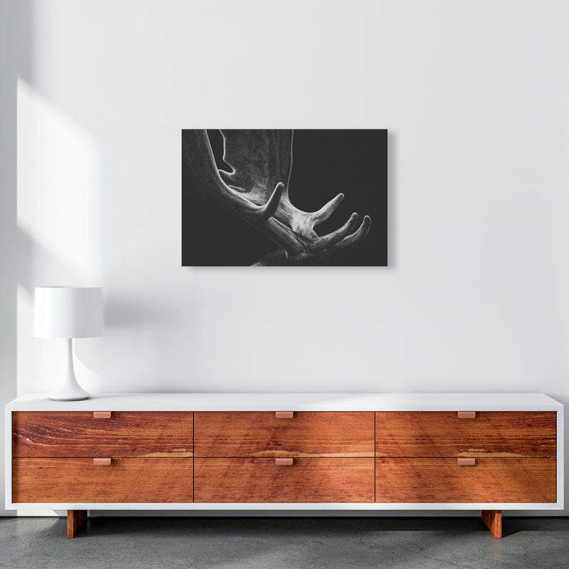 Antlers Photography Print by Victoria Frost A2 Canvas