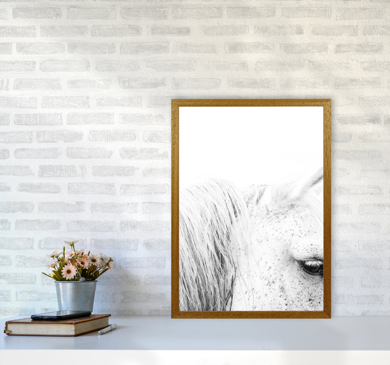 White Horse II Photography Print by Victoria Frost A2 Print Only