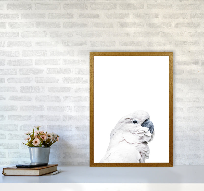 White Cockatoo Photography Print by Victoria Frost A2 Print Only