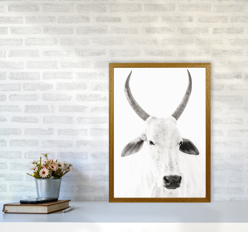 White Cow I Photography Print by Victoria Frost A2 Print Only