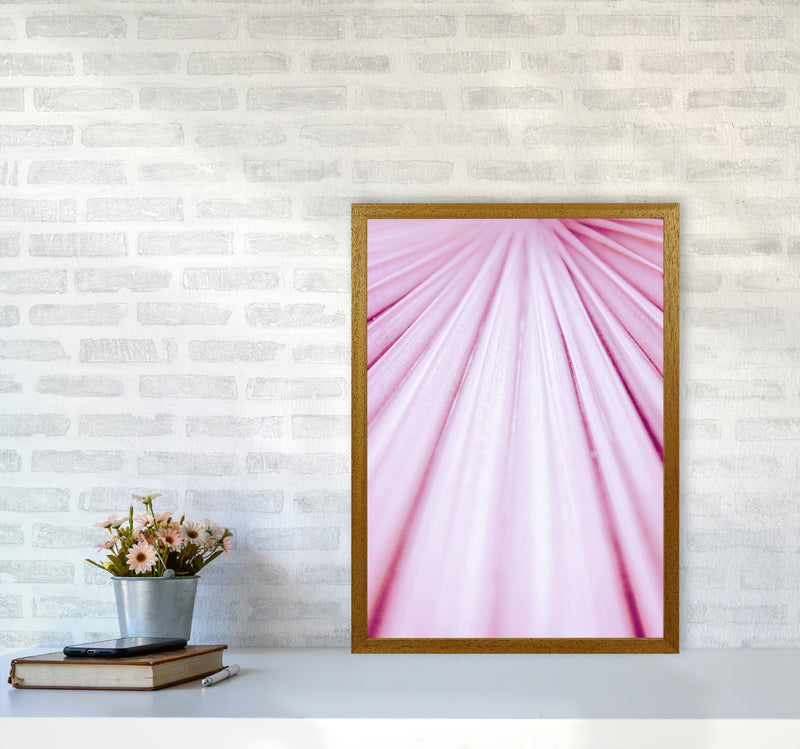 Pink Palm Leaf Photography Print by Victoria Frost A2 Print Only