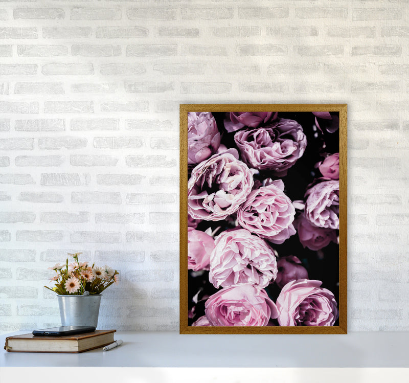 Pink Flowers II Photography Print by Victoria Frost A2 Print Only