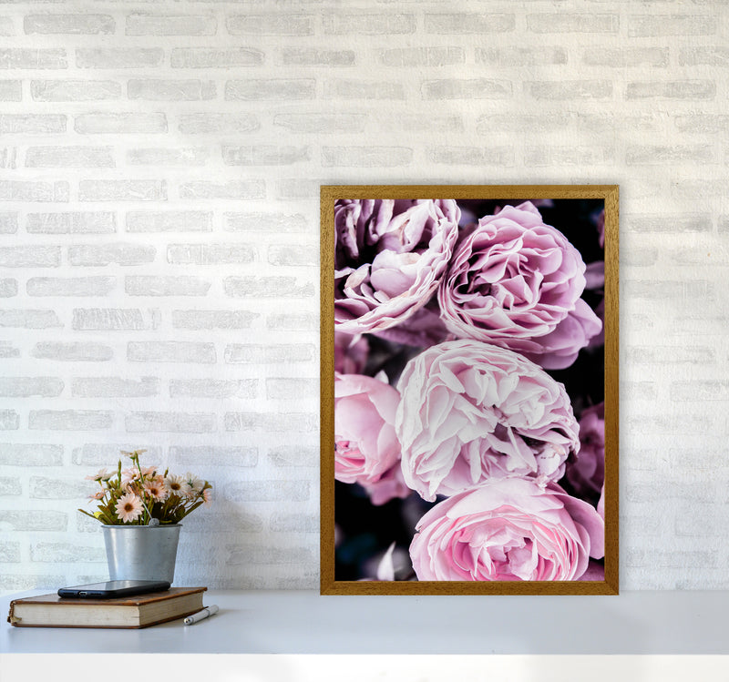 Pink Flowers I Photography Print by Victoria Frost A2 Print Only