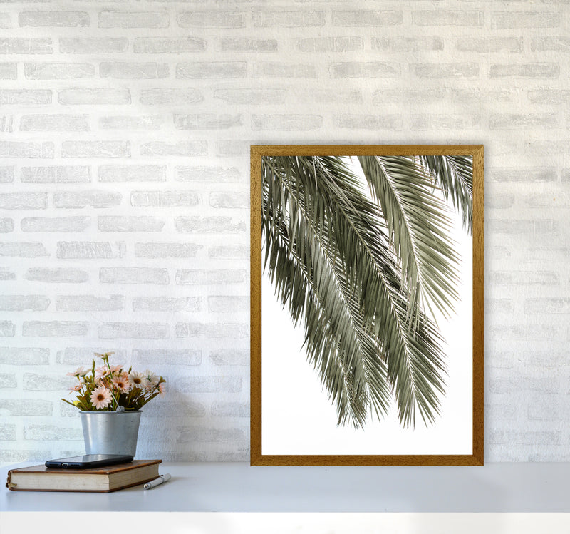 Palms Photography Print by Victoria Frost A2 Print Only