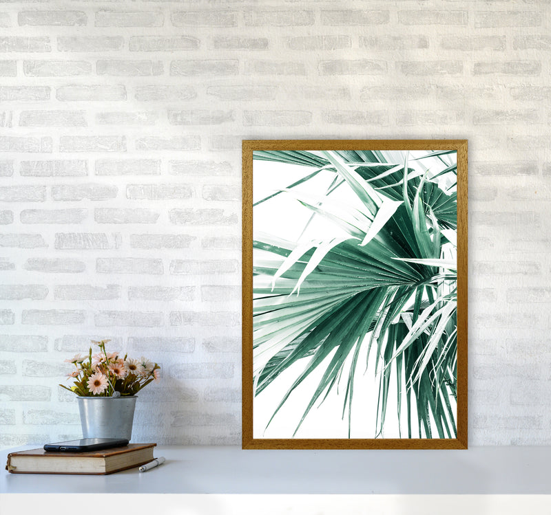Palm Leaves Photography Print by Victoria Frost A2 Print Only