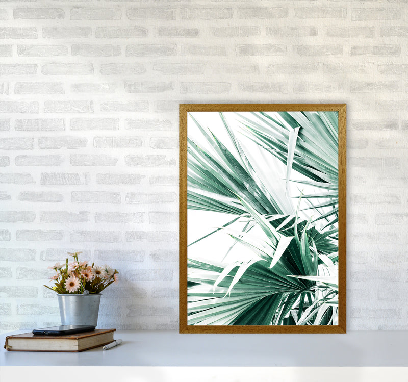 Palm Leaves II Photography Print by Victoria Frost A2 Print Only