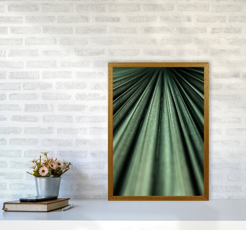 Green Palm Leaf Photography Print by Victoria Frost A2 Print Only