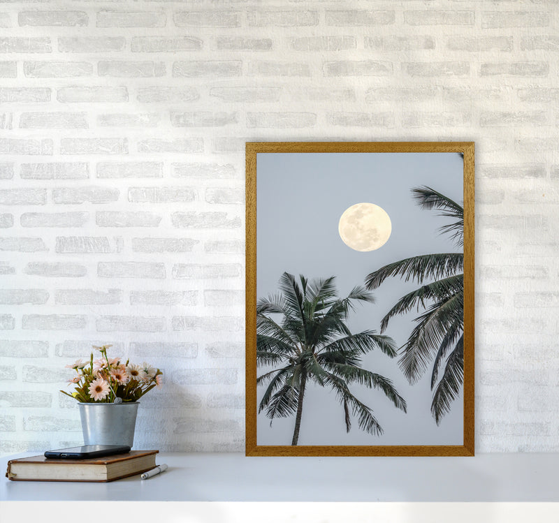 Full Moon Photography Print by Victoria Frost A2 Print Only