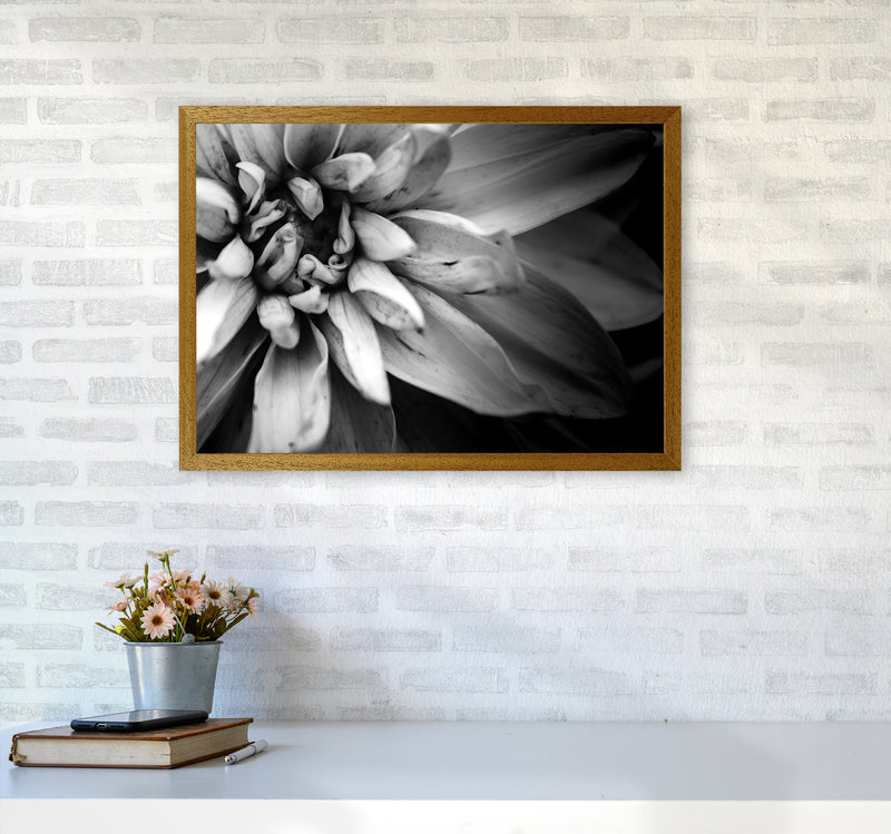 Flower Petals I  Photography Print by Victoria Frost A2 Print Only