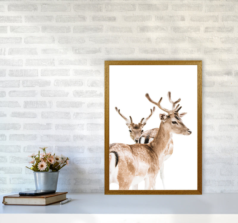 Deers II Photography Print by Victoria Frost A2 Print Only