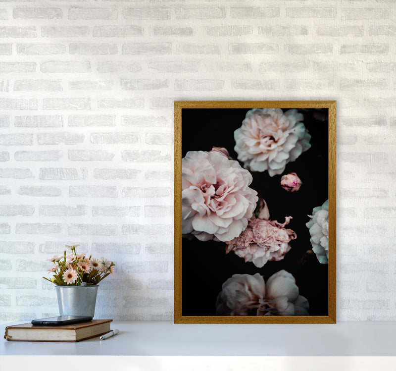 Crisp Pink Photography Print by Victoria Frost A2 Print Only