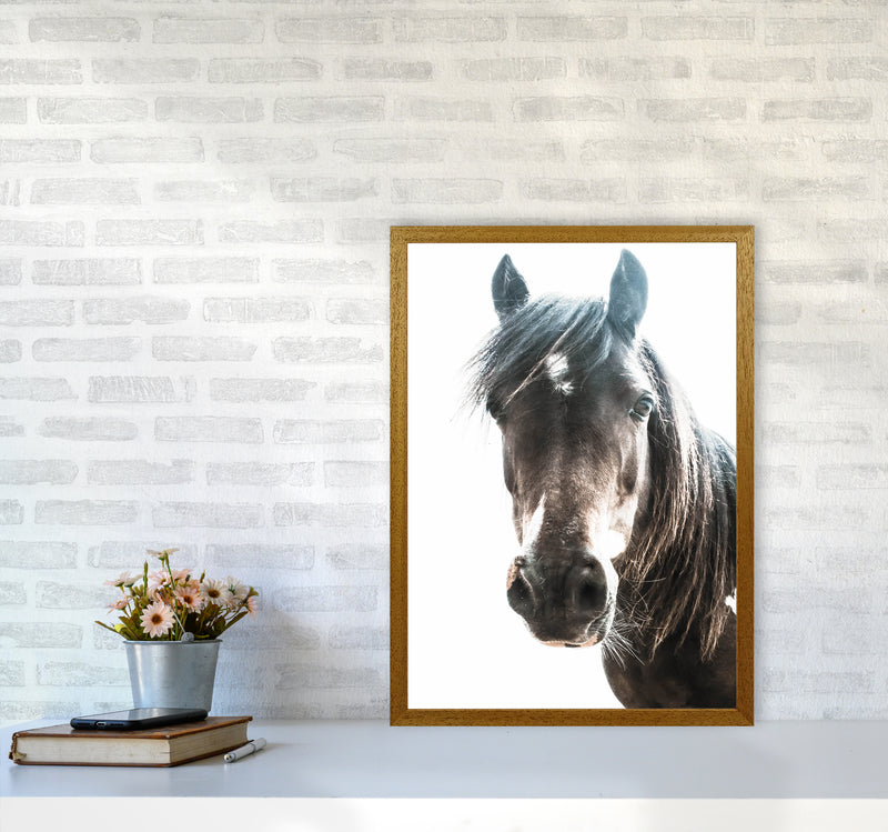 Brown Horse Photography Print by Victoria Frost A2 Print Only