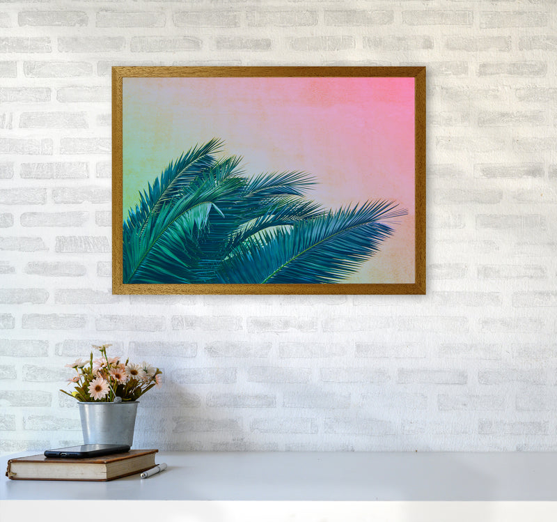 Botanical Palms Photography Print by Victoria Frost A2 Print Only
