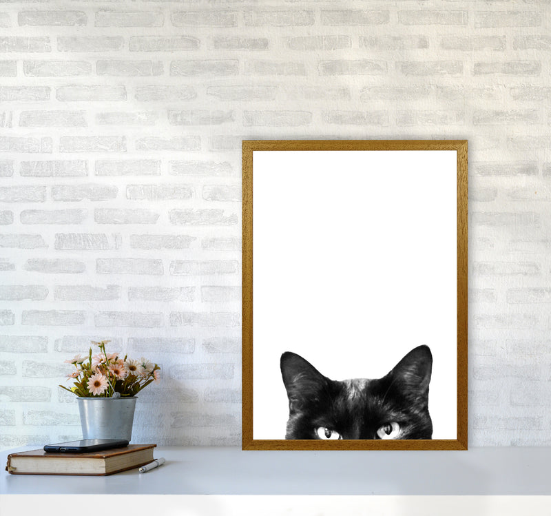 Black Cat Photography Print by Victoria Frost A2 Print Only