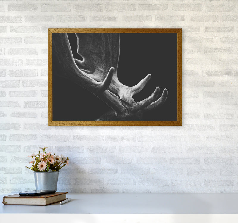 Antlers Photography Print by Victoria Frost A2 Print Only