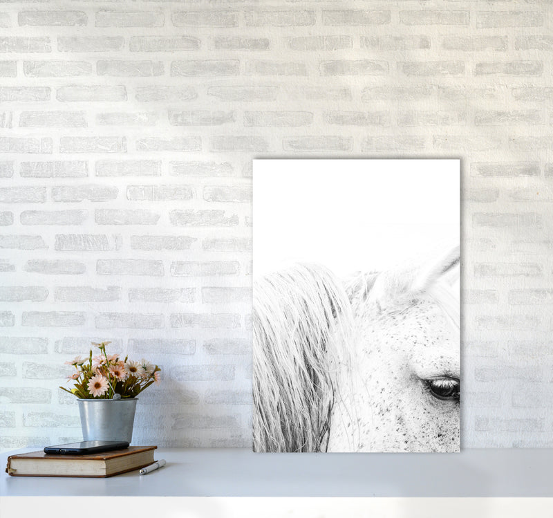 White Horse II Photography Print by Victoria Frost A2 Black Frame