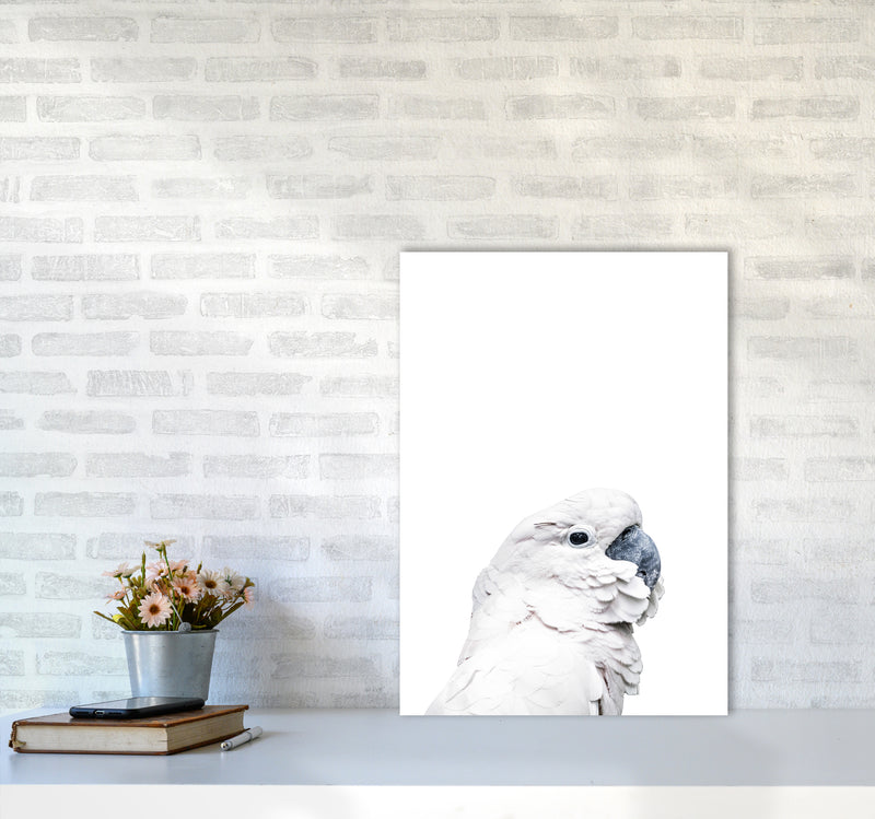 White Cockatoo Photography Print by Victoria Frost A2 Black Frame