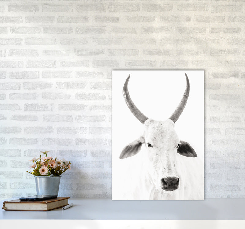 White Cow I Photography Print by Victoria Frost A2 Black Frame