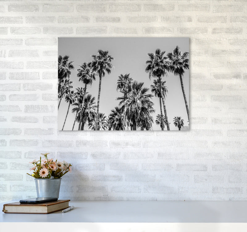 Sabal palmetto I Palm Trees Photography Print by Victoria Frost A2 Black Frame
