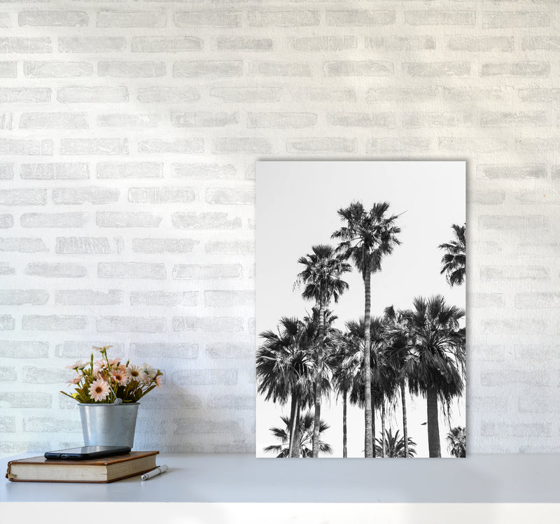 Sabal palmetto II Palm trees Photography Print by Victoria Frost A2 Black Frame