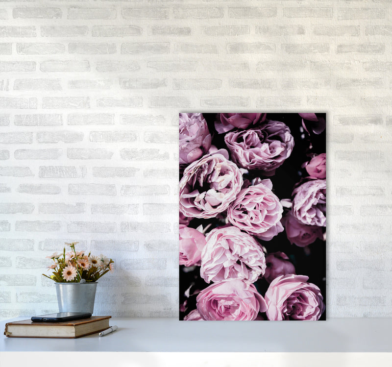 Pink Flowers II Photography Print by Victoria Frost A2 Black Frame