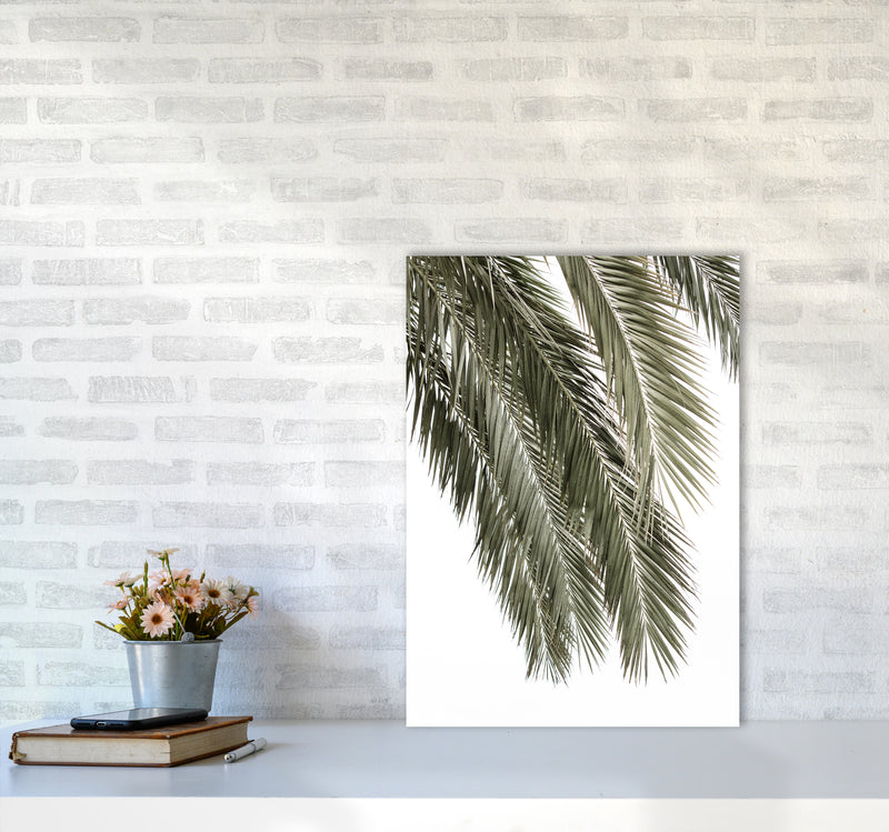 Palms Photography Print by Victoria Frost A2 Black Frame