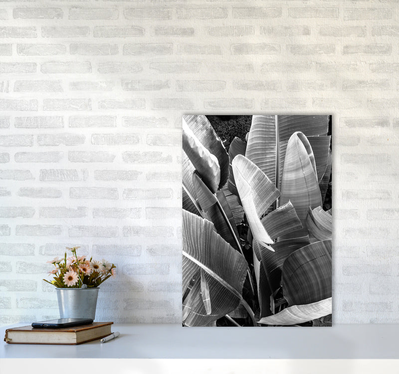 Palms Leafs Photography Print by Victoria Frost A2 Black Frame