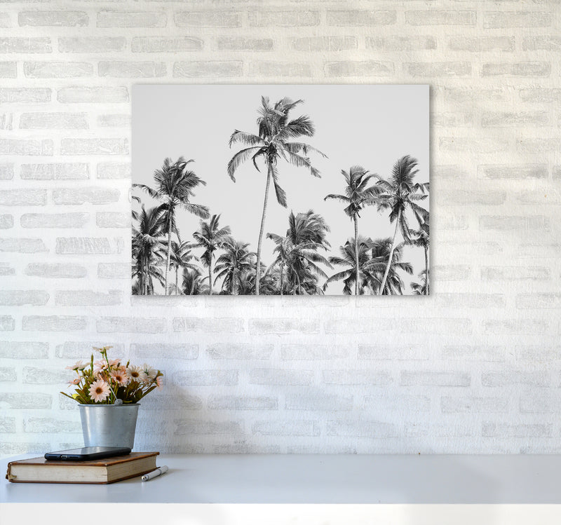 Palm Trees on the beach II Photography Print by Victoria Frost A2 Black Frame