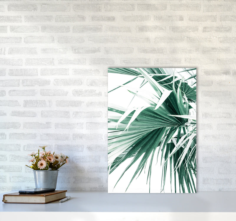 Palm Leaves Photography Print by Victoria Frost A2 Black Frame