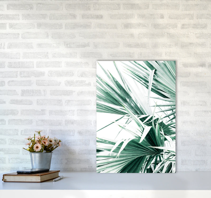 Palm Leaves II Photography Print by Victoria Frost A2 Black Frame