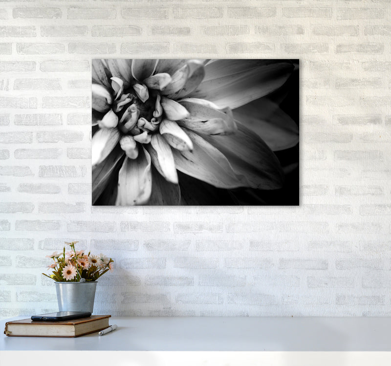 Flower Petals I  Photography Print by Victoria Frost A2 Black Frame