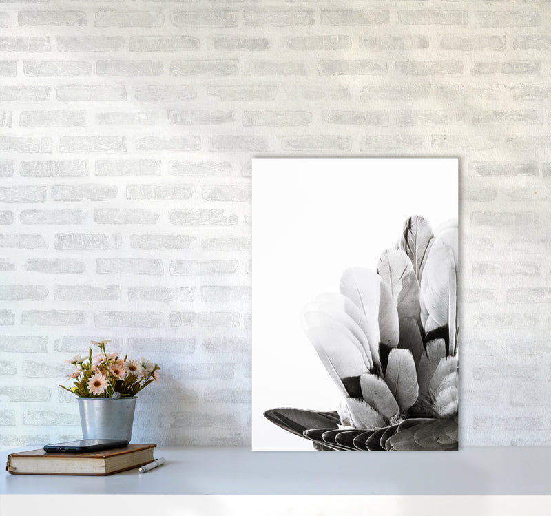 Feathers Photography Print by Victoria Frost A2 Black Frame