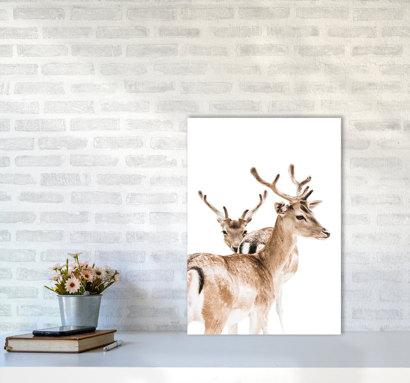 Deers II Photography Print by Victoria Frost A2 Black Frame
