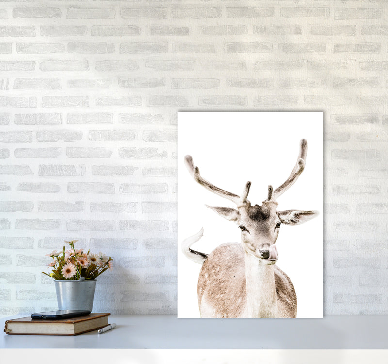 Deer I Photography Print by Victoria Frost A2 Black Frame