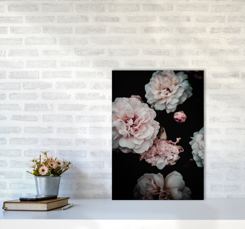 Crisp Pink Photography Print by Victoria Frost A2 Black Frame