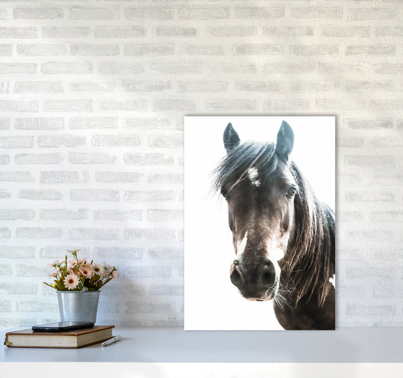 Brown Horse Photography Print by Victoria Frost A2 Black Frame