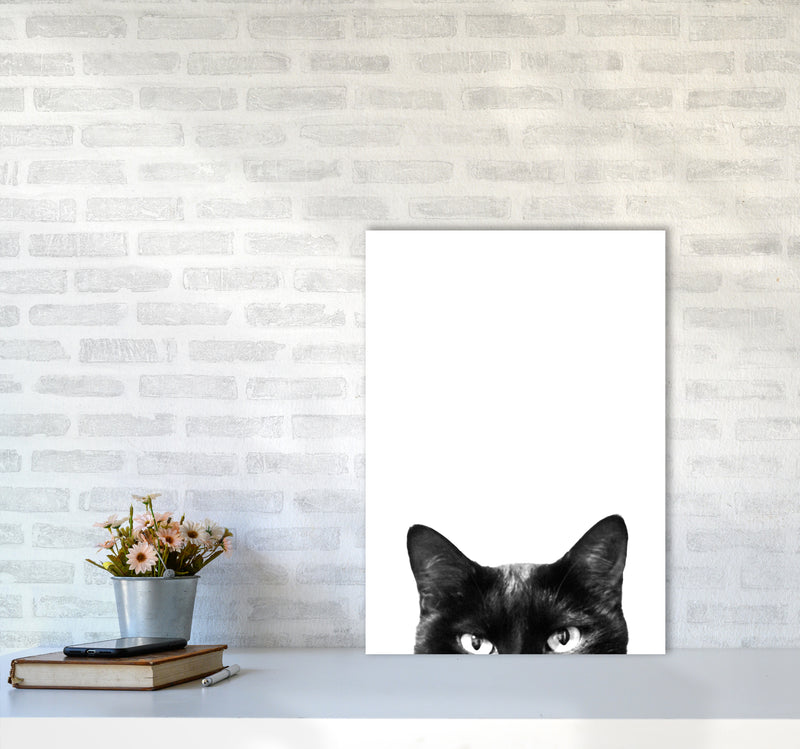 Black Cat Photography Print by Victoria Frost A2 Black Frame