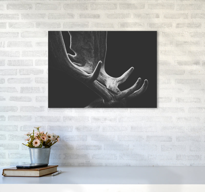 Antlers Photography Print by Victoria Frost A2 Black Frame