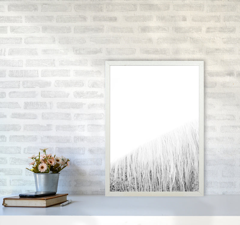 White Horse I Photography Print by Victoria Frost A2 Oak Frame