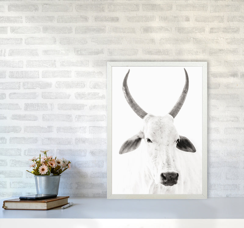 White Cow I Photography Print by Victoria Frost A2 Oak Frame