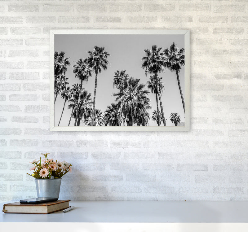 Sabal palmetto I Palm Trees Photography Print by Victoria Frost A2 Oak Frame