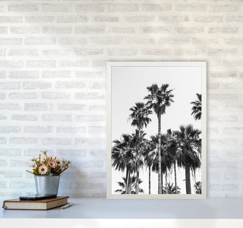 Sabal palmetto II Palm trees Photography Print by Victoria Frost A2 Oak Frame